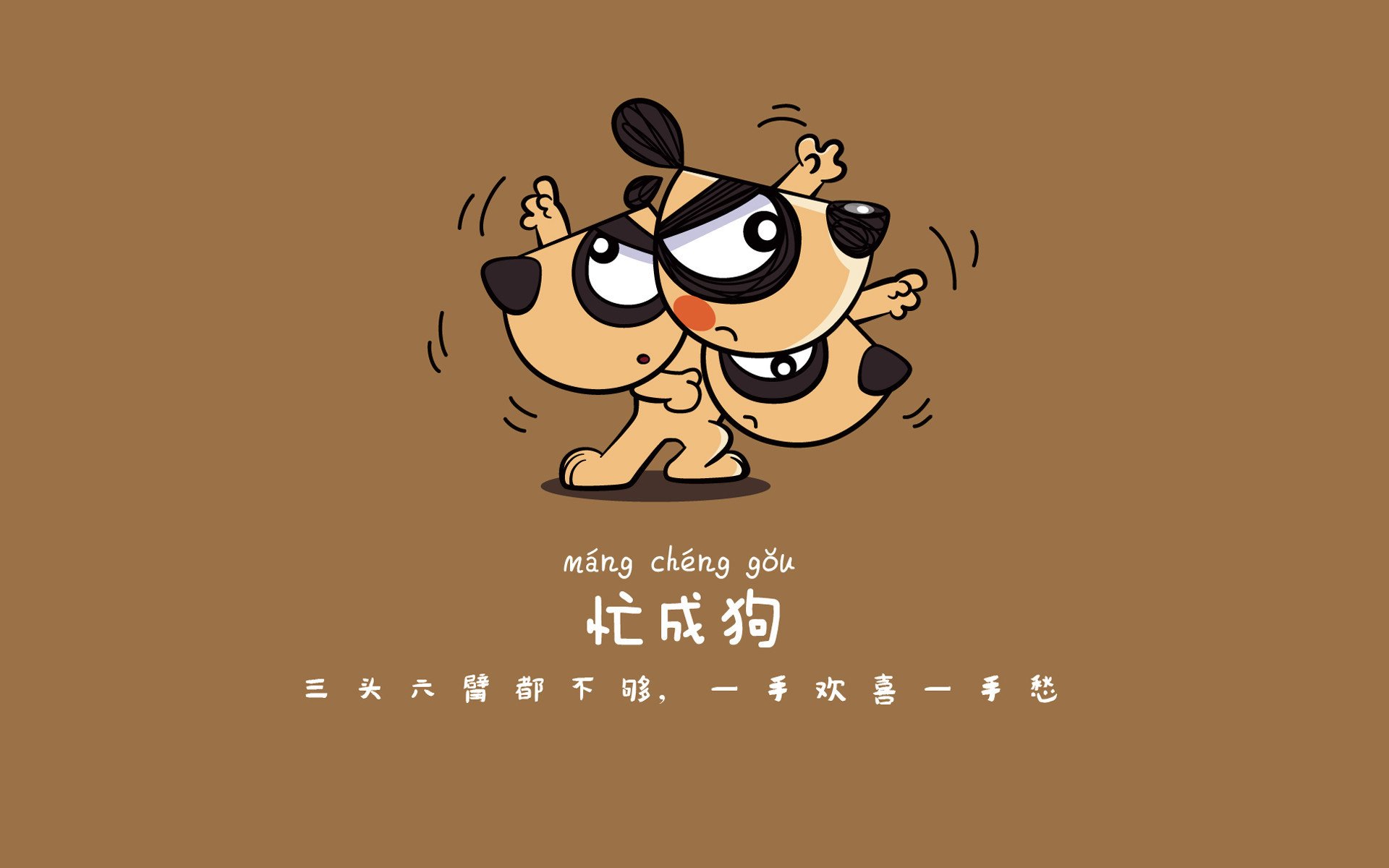 特色足球文化产业示范项目在多城市落地，打造足球特色学校