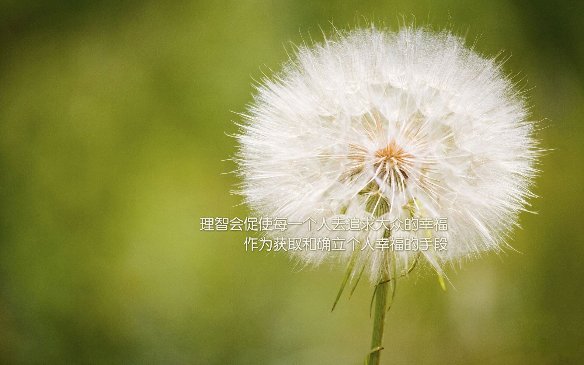 体育风向标：女足比赛中的绝佳进球！，女足经典进球
