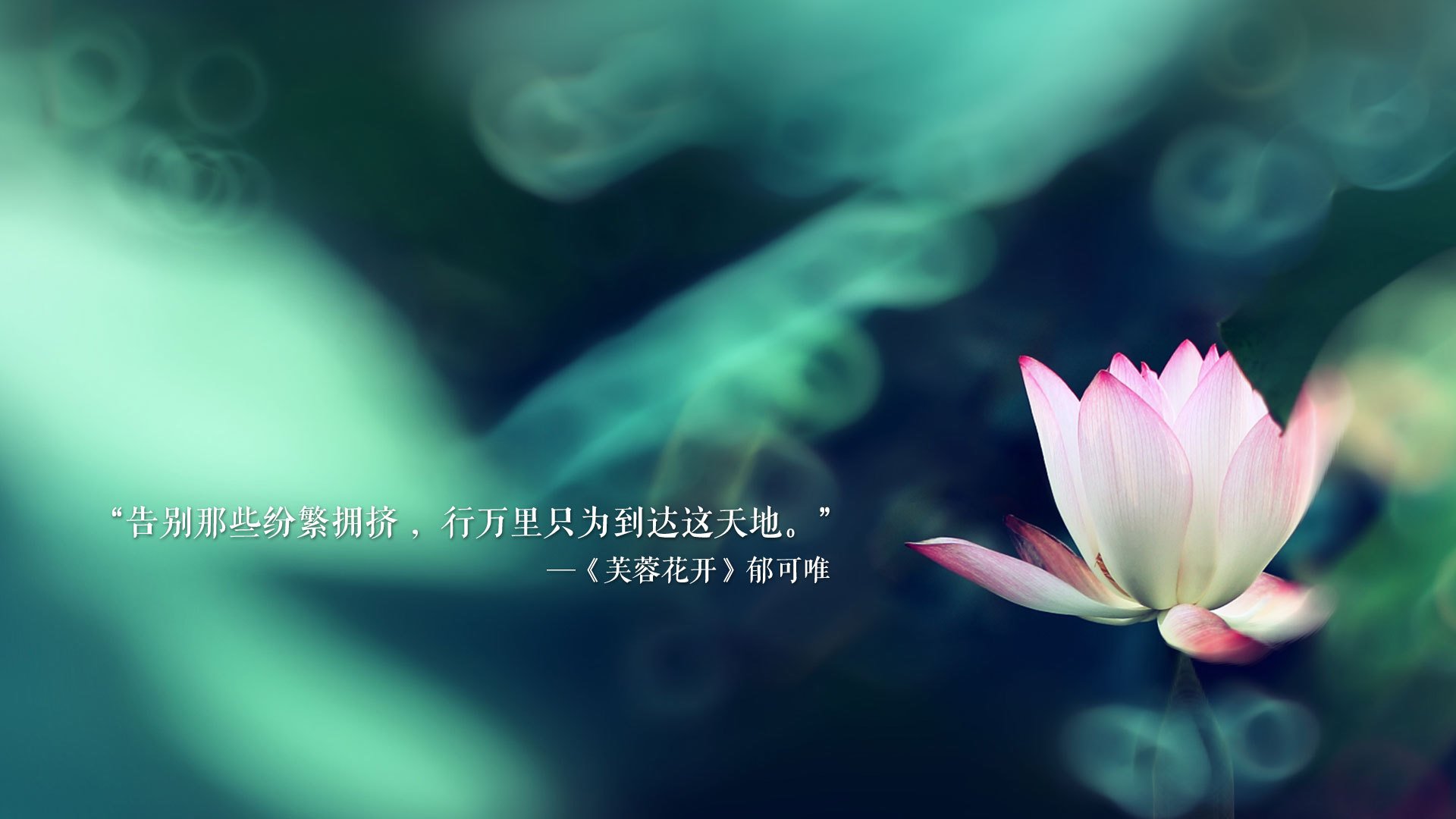 弗拉门戈攻防转换效率提升，弗拉门戈vs防卫者