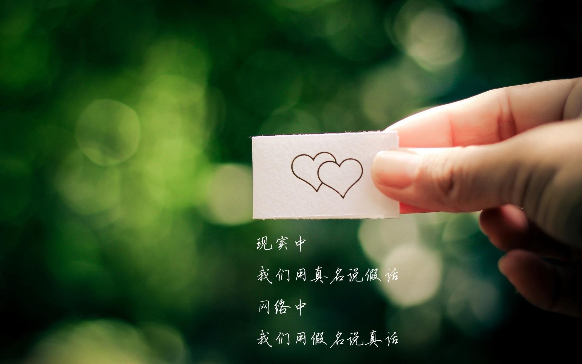 莱切斯特城主场胜利，继续向前迈进，莱切斯特城战绩