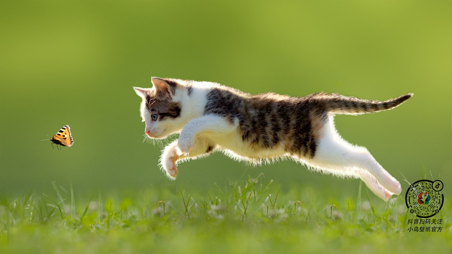 球员得分爆发时队友如何配合，球员得分怎么算