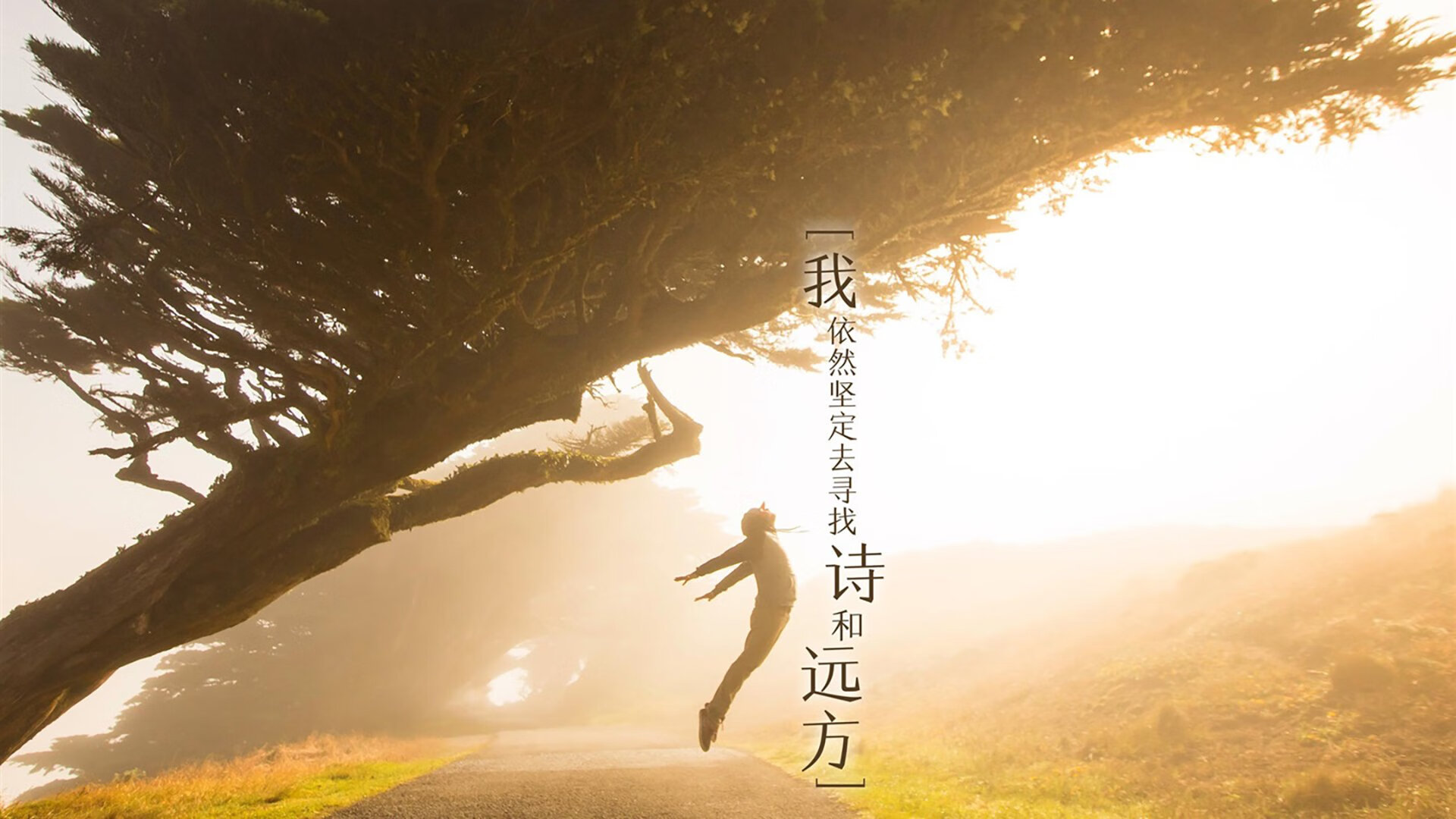 辽宁飞豹助攻数提升反映整体传导意识加强，辽宁飞豹集团董事长