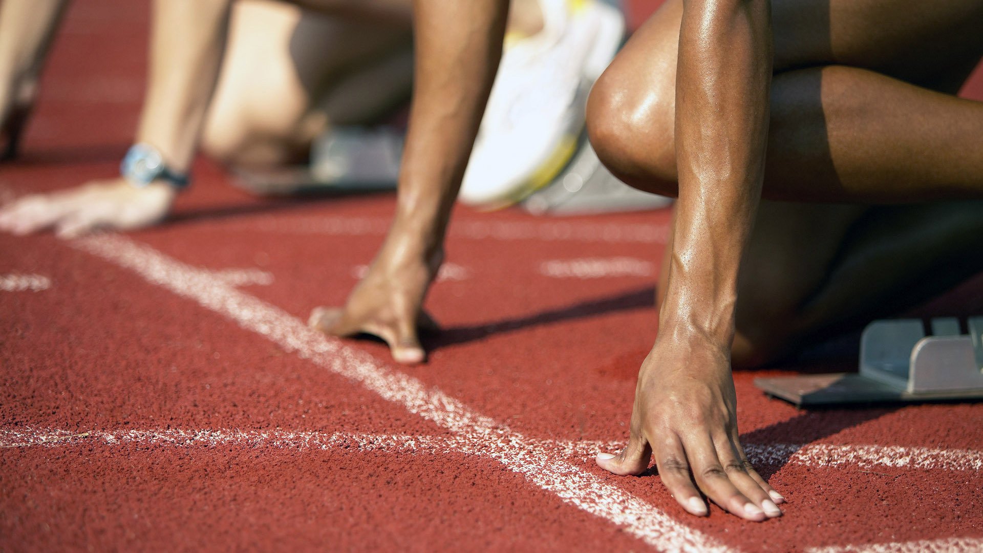 瑞士马术协会授予马尔科·阿尔瓦雷斯“年度最佳马匹护理员”称号。